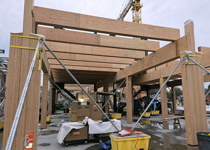 Oregon State University HCIC Building sequencing, bracing, stability for new. high-tech CLT-MPP structure by Amodeo SE
